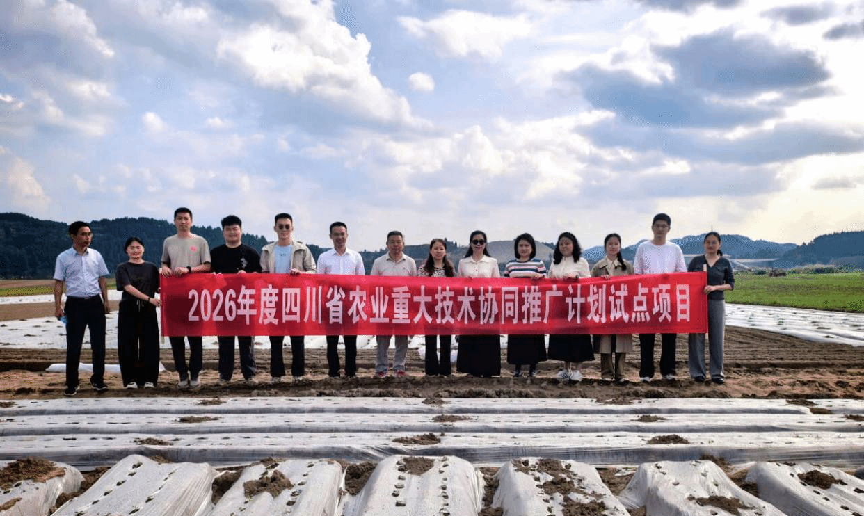 【兴农先锋】四川农业大学专家指导全生物降解地膜用于生产