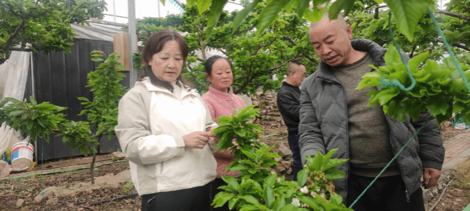 吕秀兰教授赴汉源县开展科技助农工作