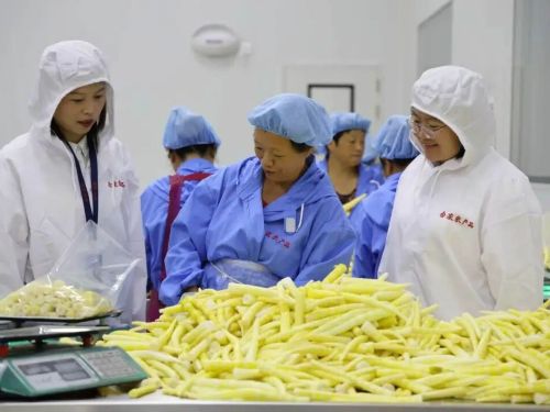 旧粮站焕新生 品味荥经笋竹乡土风物
