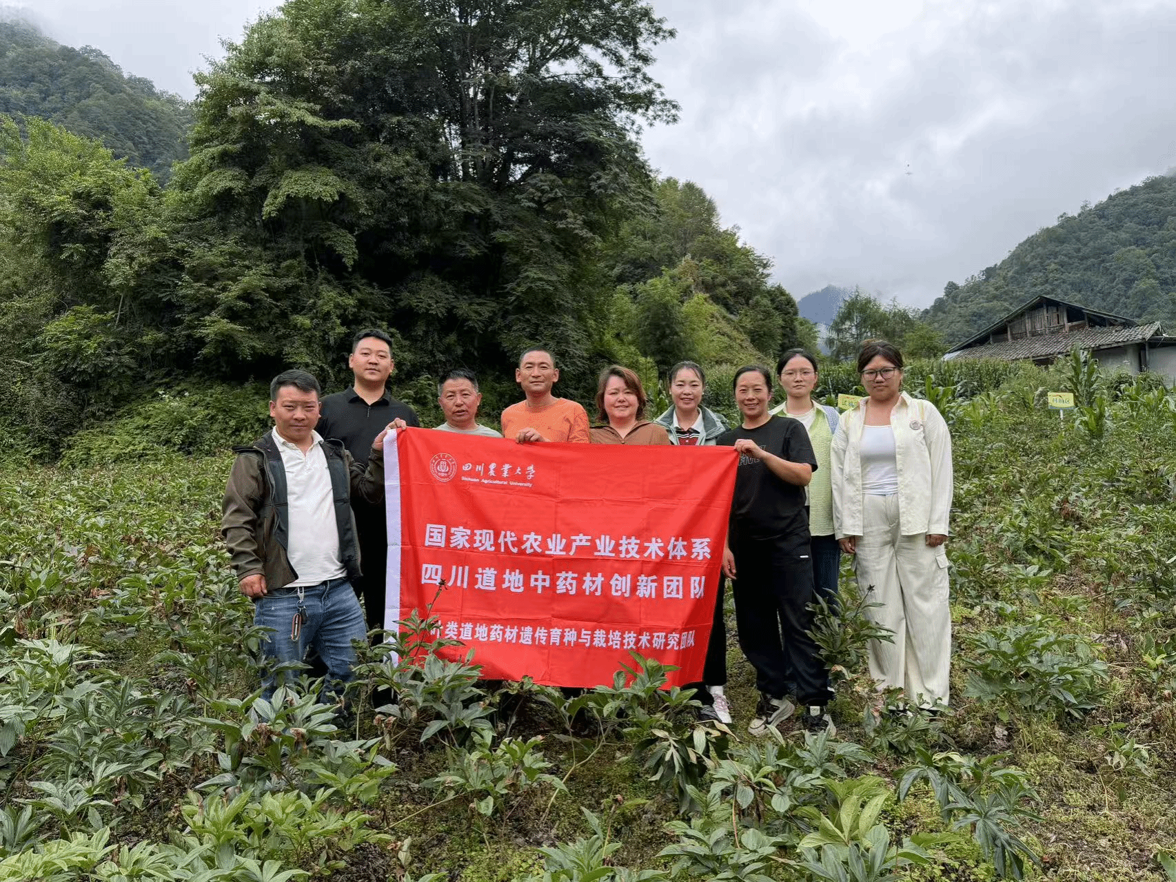 四川农业大学农学院专家赴宝兴县开展中药材夏季病虫害防治技术帮扶工作