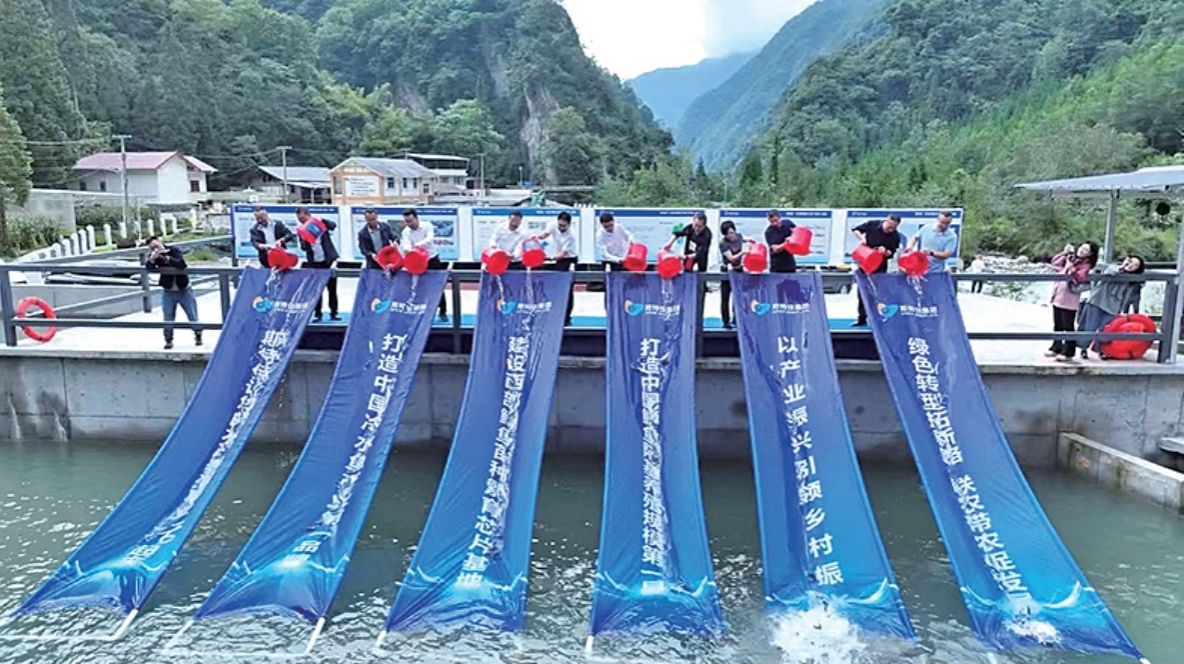 宝兴县：冷水鱼产业建设投产“双线并进”
