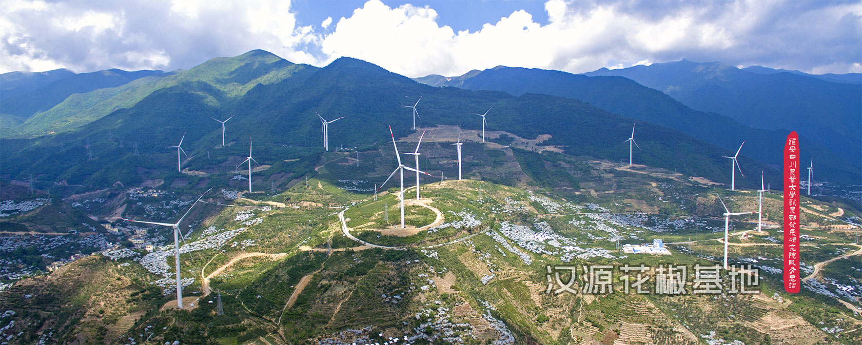汉源花椒基地